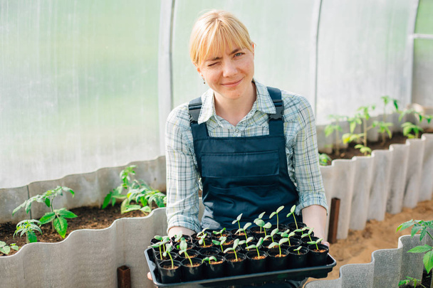 Young pretty blonde woman in blue overall working with seedlings inside greenhouse. Female farmer  - Foto, Imagen