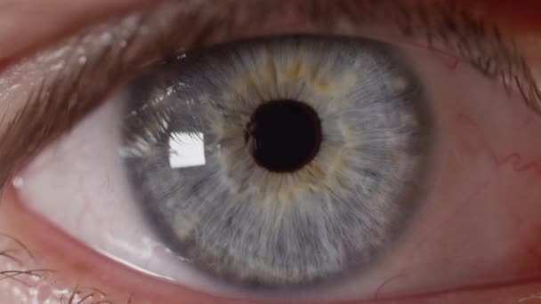 Slow Motion macro: man met glanzende blauwe ogen die naar de verte kijken. Reflecterende blauwe mannelijke oog observeren omgeving in lichte kamer. Nieuwsgierig oog bewegen links en rechts als de mens zoekt rond kamer. - Video