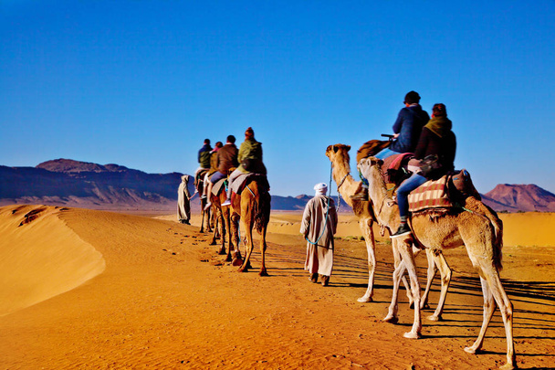 Camel caravan in the Sahara of Morocco. Exotic travel and adventures concept - Photo, Image