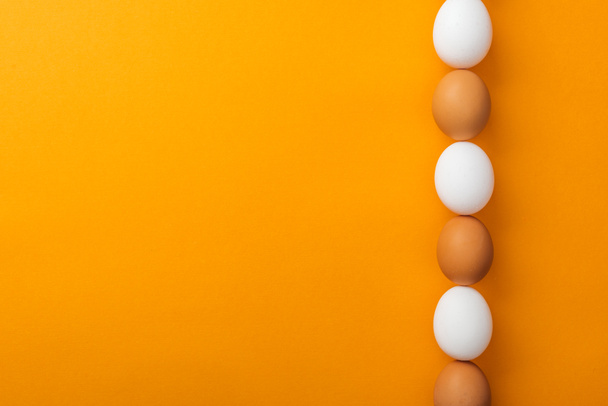 top view of white and brown organic chicken eggs in row on bright orange background with copy space - Photo, Image