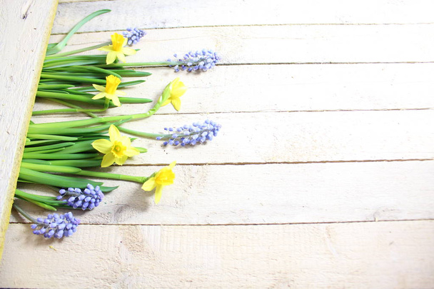 весняний квітковий бордюр
 - Фото, зображення