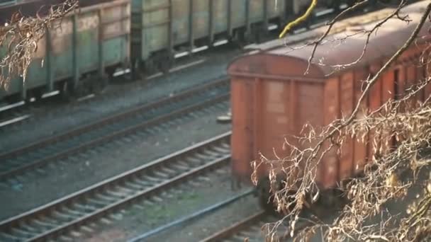 Szállítási és logisztikai háttér. Üres tehervagonok a vonaton teherszállítás platformján - Felvétel, videó