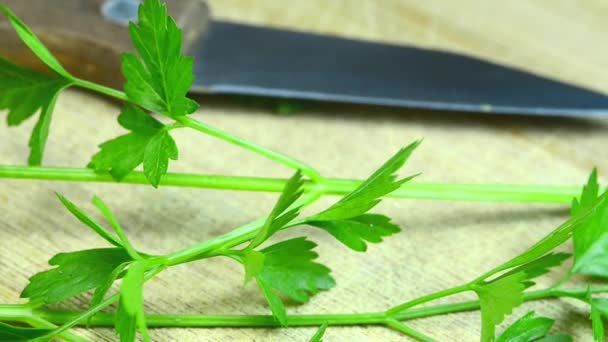 parsley fresh herb on a turn table - Footage, Video