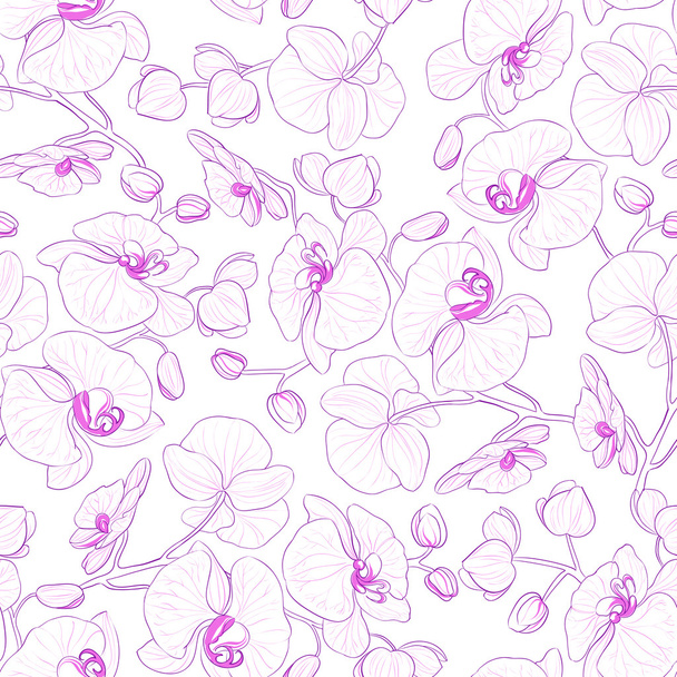Orchid seamless pattern. - Vector, Image