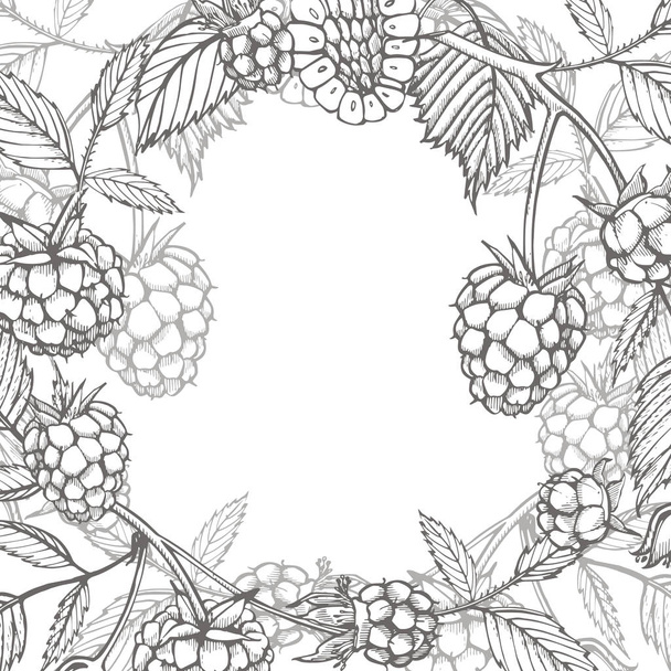 Hand drawn raspberry. Retro sketch style illustration. Perfect for invitation, wedding or greeting cards. - Photo, image