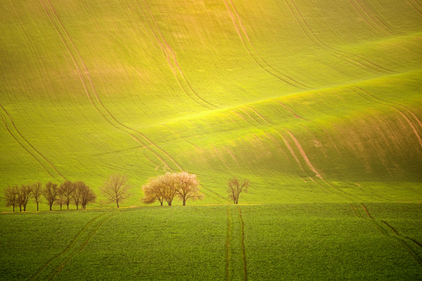 Coucher de soleil paysage photo de la Toscane morave en République tchèque
 - Photo, image