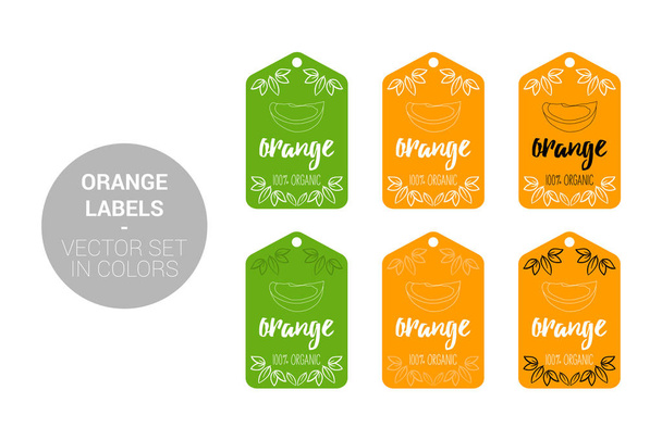 Orange fruit Eco labels vector set in green, orange colors. Cartoon Advertising hundred percent organic Stickers. Citrus fruit Badges with Hand drawn orange and little leaves ready for web and Print - Vector, Image