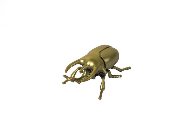 gouden bug Scarab op witte achtergrond - Foto, afbeelding