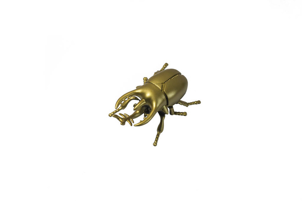 gouden bug Scarab op witte achtergrond - Foto, afbeelding