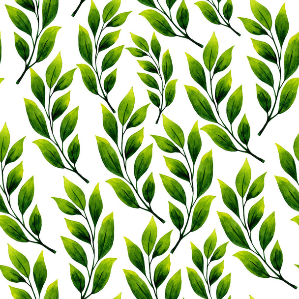 Seamless watercolor illustration of leaves - Zdjęcie, obraz