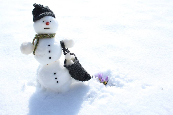 snowman y crocus en la nieve - Foto, imagen