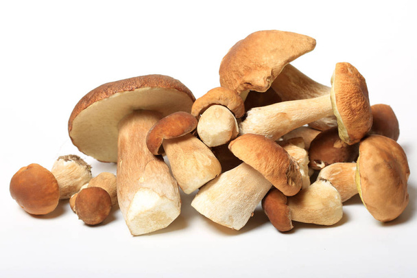Boletus mushrooms on a white background close up - Zdjęcie, obraz