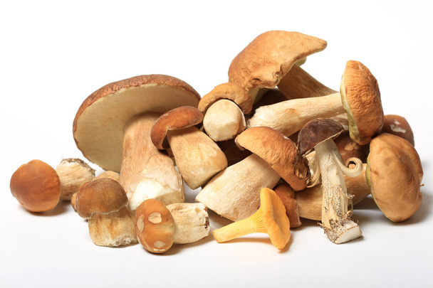 Boletus mushrooms on a white background close-up - Photo, image