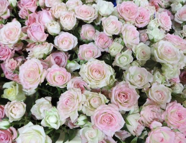 Um buquê de belas rosas rosa pálidas frescas em um vaso
. - Foto, Imagem