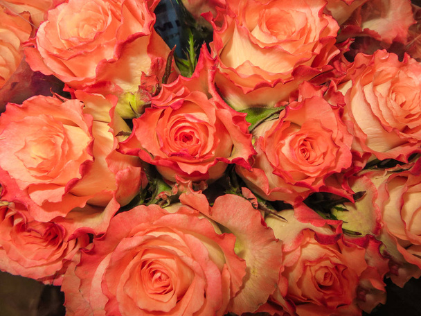 Ένα μπουκέτο από φρέσκα όμορφα πορτοκαλί τριαντάφυλλα σε ένα βάζο. - Φωτογραφία, εικόνα