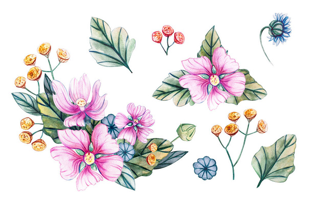 Watercolor illustration with bouquets of wildflowers. - Photo, Image