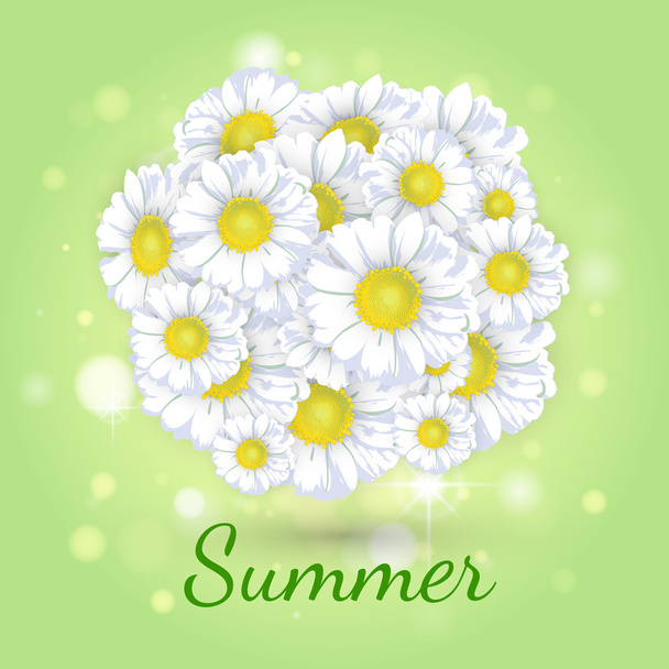 Bouquet of daisies on a green background - Vektor, Bild