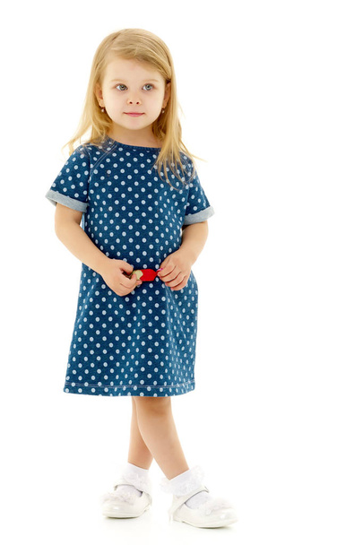 Little girl in an elegant dress. - Zdjęcie, obraz