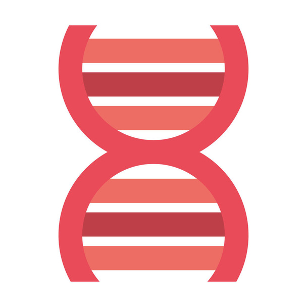 DNA molekuly - Vektor, obrázek