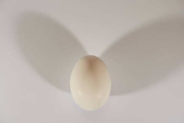 Chicken light egg one on a light background - Foto, immagini