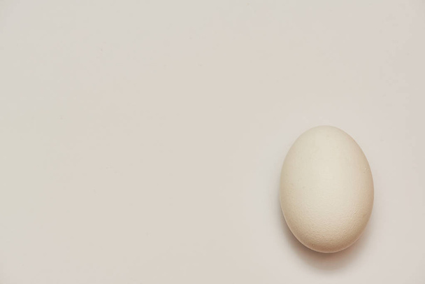 Huevo ligero de pollo uno sobre un fondo claro
 - Foto, Imagen