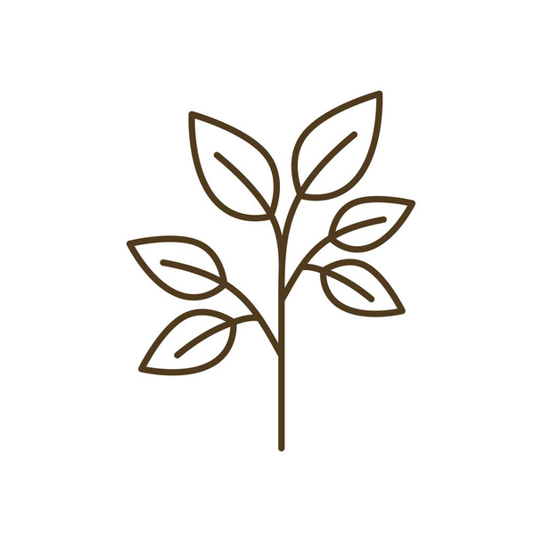 galho de árvore com folhas ícone isolado
 - Vetor, Imagem