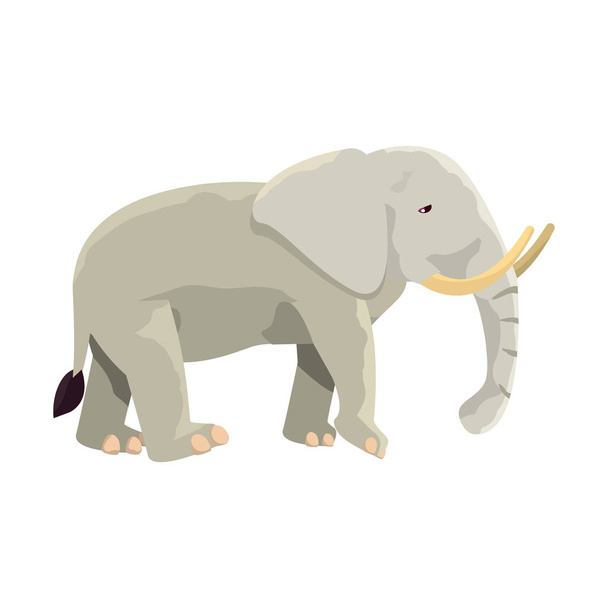 Sloní zvíře na bílém pozadí - Vektor, obrázek