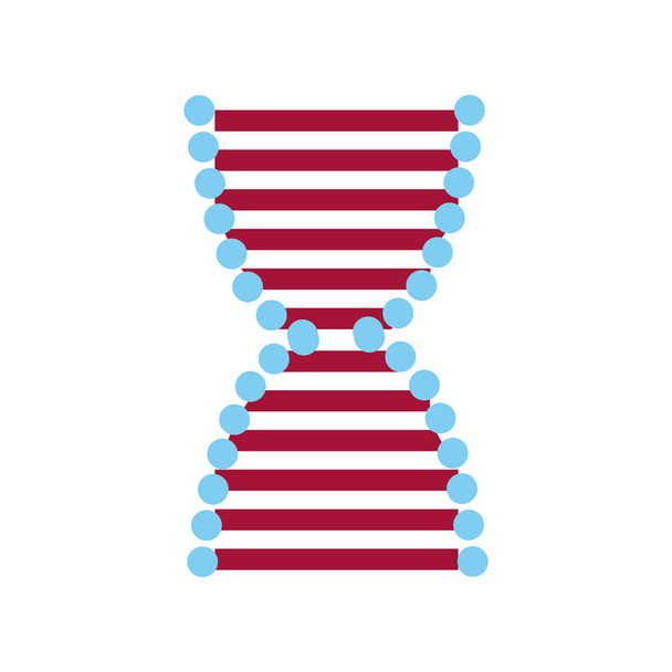 DNA-molekyyli geneettinen - Vektori, kuva