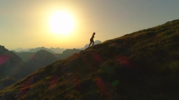Εναέρια σιλουέτα: κάμερα που πετάει κατά μήκος μιας σιλουέτας γυναίκα περιπατητή περπατώντας πάνω σε ένα καταπράσινο λόφο μπροστά από το πανέμορφο κιτρινωπό τοπίο. Νεαρή γυναίκα που ανεβαίνει μια βουνοκορφή το ηλιόλουστο καλοκαιρινό βράδυ. - Πλάνα, βίντεο