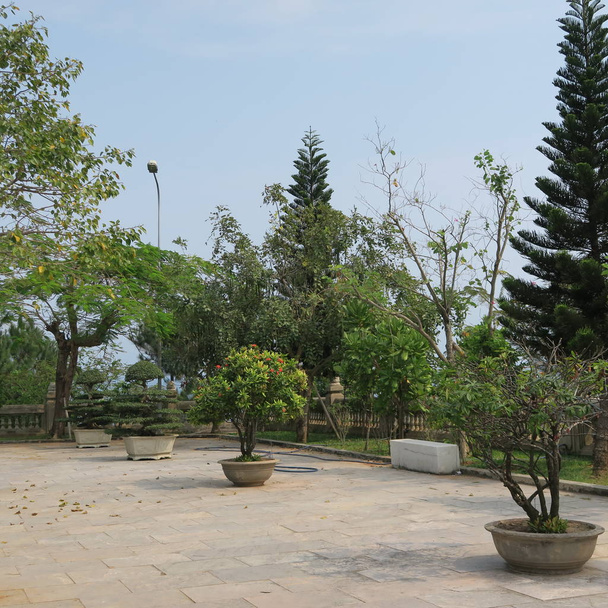 hermosos bonsái, figuras artísticas en la "pagoda Linh Ung" en la "península de Son Tra" en "Da Nang", Vietnam central en marzo de 2019
 - Foto, imagen