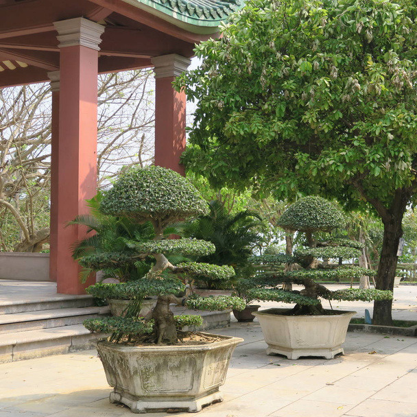 beautiful bonsai trees, artful figures in the "Linh Ung Pagoda" on the "Son Tra peninsula" at "Da Nang", central vietnam in march 2019 - Photo, Image