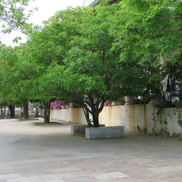 schöne bonsaibäume, kunstvolle figuren in der "linh ung pagode" auf der "son tra halbinsel" in "da nang", zentralvietnam im märz 2019 - Foto, Bild