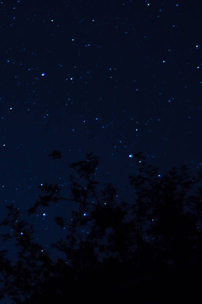 Lange belichtingsnacht foto. Veel sterren met bomen op de voorgrond. Ver van de stad. Nachtlandschap. - Foto, afbeelding
