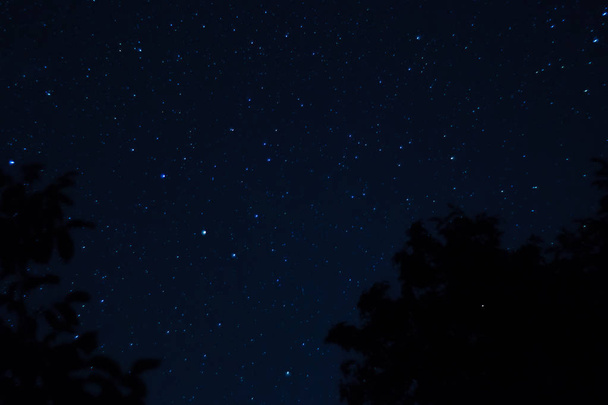 Hosszú expozíciós éjszaka fényképe. Sok csillag, előtérben fákkal. Messze a várostól. Éjszakai táj. - Fotó, kép