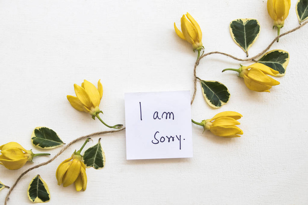 Είμαι Λυπάμαι μήνυμα κάρτα χειρογράφου με κίτρινα λουλούδια Ylang Ylang ρύθμιση επίπεδη πλαίσιο στυλ στο φόντο λευκό  - Φωτογραφία, εικόνα