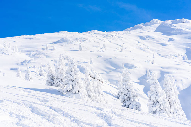 Paysage hivernal avec arbres enneigés et Alpes à Seefeld dans l'état autrichien du Tyrol. Hiver en Autriche
 - Photo, image
