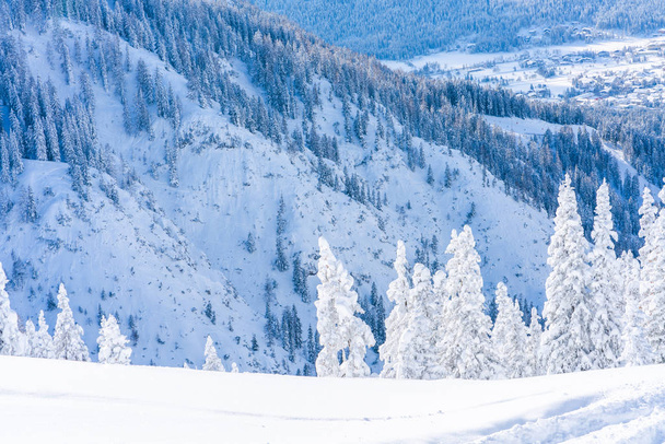 Paisaje invernal con árboles cubiertos de nieve y Alpes en Seefeld en el estado austríaco del Tirol. Invierno en Austria
 - Foto, imagen