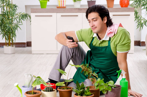 Young male gardener with plants indoors  - Foto, immagini