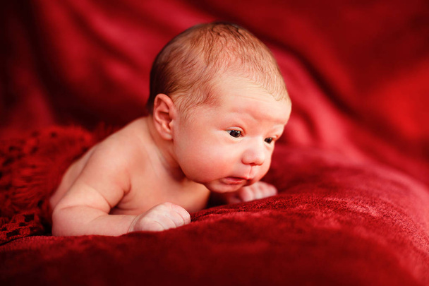 Newborn baby on a red background - Fotografie, Obrázek