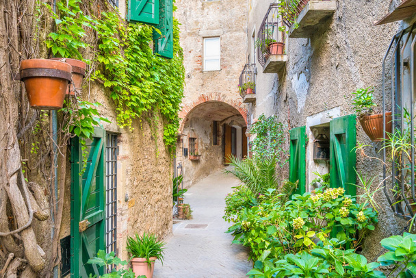Vista panorámica en Capalbio, pintoresco pueblo en la provincia de Grosseto. Toscana, Italia
. - Foto, imagen
