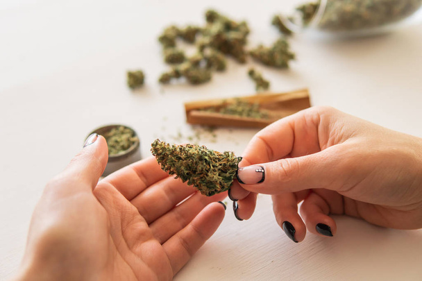 marijuana use concept. Woman preparing and rolling marijuana cannabis joint. Close up of marijuana blunt with grinder. Woman rolling a cannabis blunt on white background. - Φωτογραφία, εικόνα