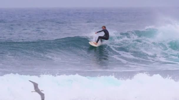 7. október 2017-Fuerteventura, Kanári-szigetek: lassú mozgás: fiatal férfi surfboarder érinti a víz, ahogy carves a kis óceán hullám. Szörfös lovaglás hullám a zátonyon, mielőtt eléri a homokos parton. - Felvétel, videó