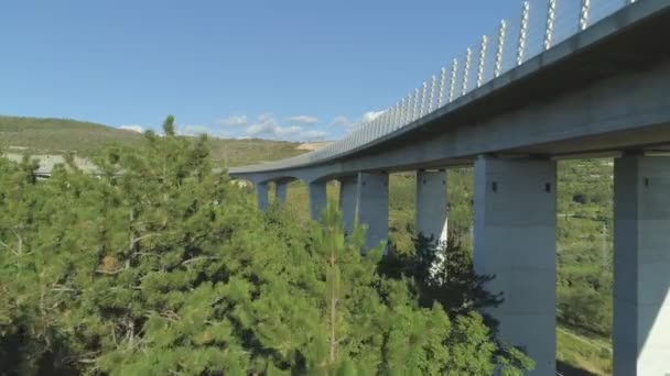 Aerial: vliegen boven dennenbossen als auto's rijden langs grote betonnen viaduct. Moderne viaduct met geluidsbarrières waardoor verkeer vrij boven dieren en natuur stroomt in bossen en struiken - Video