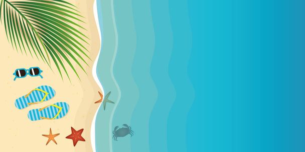 yıldız balığı ile güzel bir palmiye plajında Flip flop ve güneş gözlüğü - Vektör, Görsel