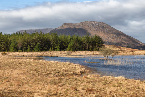 Montaña, lago y vegetación en camino occidental en Lough Corr
 - Foto, Imagen