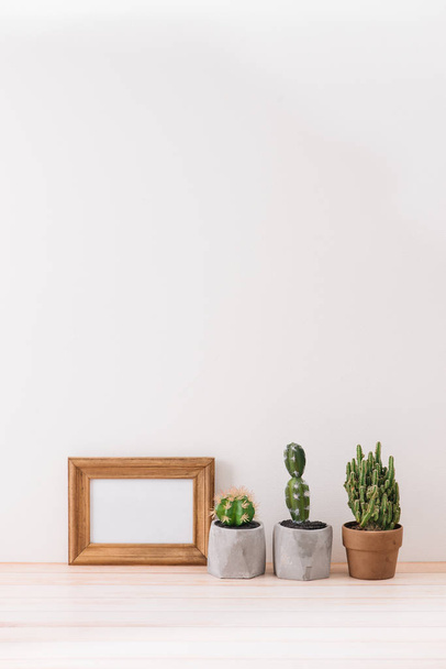 Moderna decoración de habitaciones. Varios cactus y plantas suculentas en diferentes macetas. Burla con un marco de madera
. - Foto, Imagen