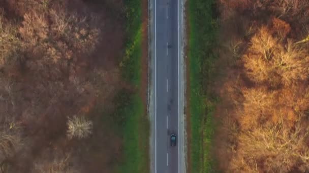 Uitzicht vanaf de hoogte van het verkeer op de weg omringd door herfst bos - Video