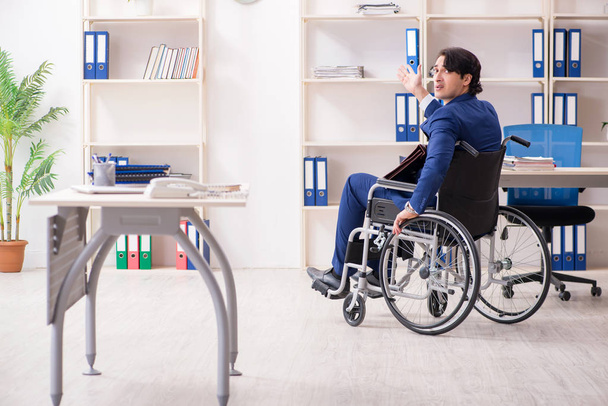 Jeune employé masculin en fauteuil roulant travaillant au bureau  - Photo, image