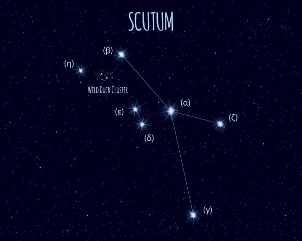 Kalkan (kalkan) takımyıldızı, yıldızlı gökyüzü karşı temel yıldız isimleri ile vektör çizim  - Vektör, Görsel