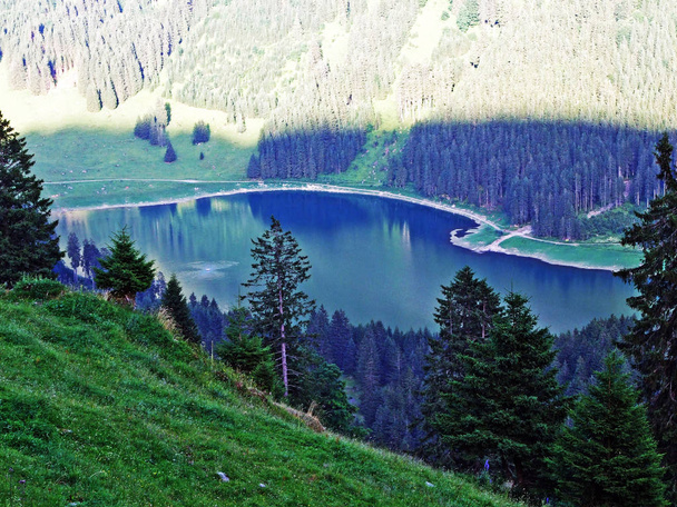 Alpské jezero Voralpsee v pohoří Alviergruppe a nad Grabs v údolí Rýna-kantonu St. Gallen, Švýcarsko - Fotografie, Obrázek